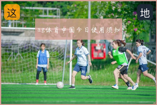 ag体育中国今日使用须知