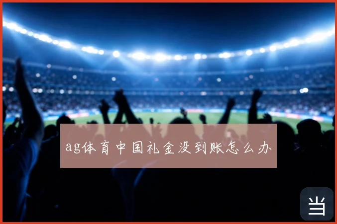ag体育中国礼金没到账怎么办